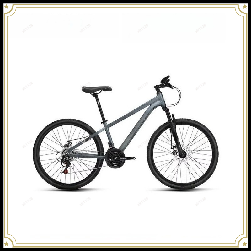 Commuter Biking - Mountain Bike Variable Speed Bicycle for